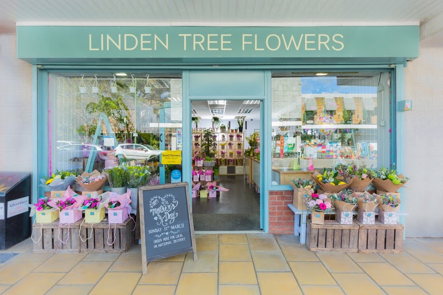 Linden Tree Flowers