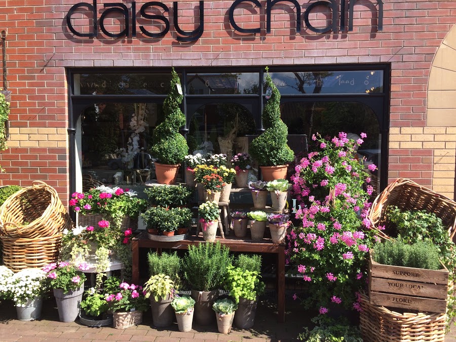 Daisy Chain Leeds