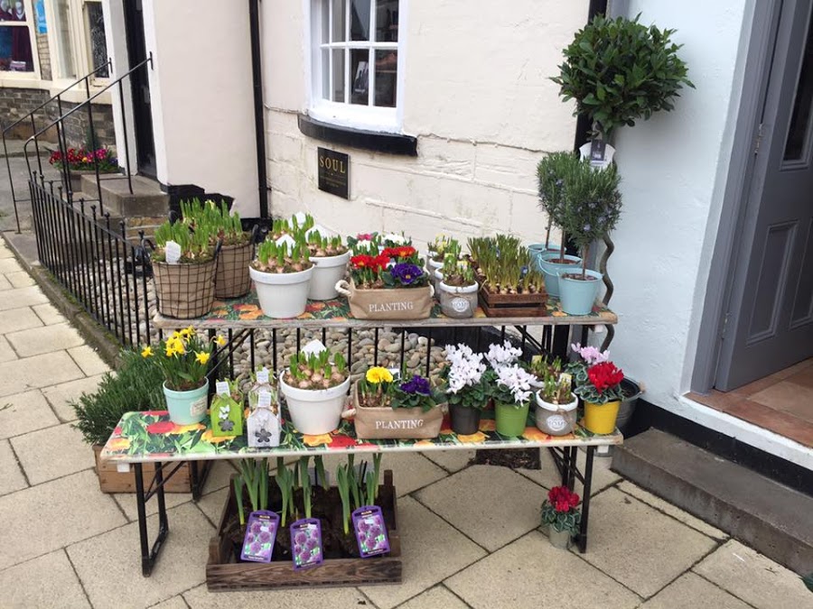 Flower Box