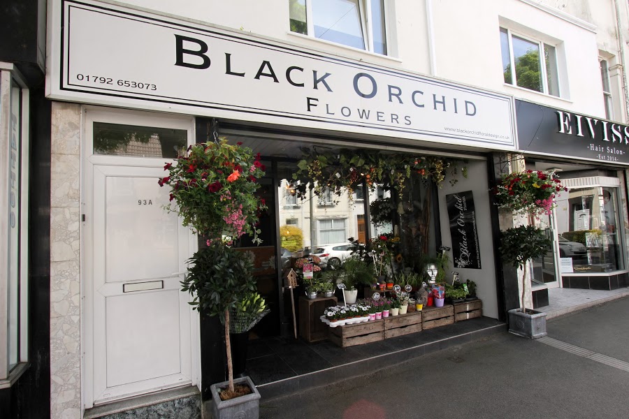 Black Orchid Floral Design