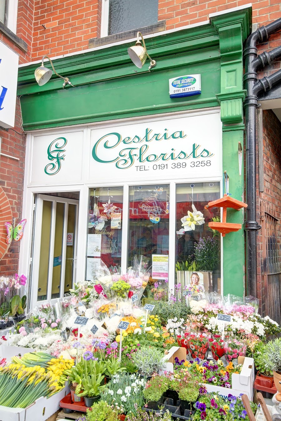 Cestria Florists