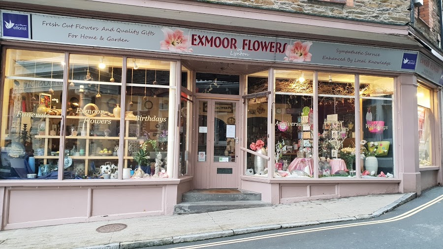 Exmoor Flowers