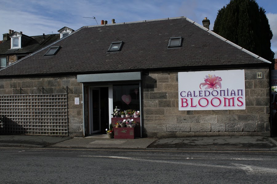 Caledonian Blooms