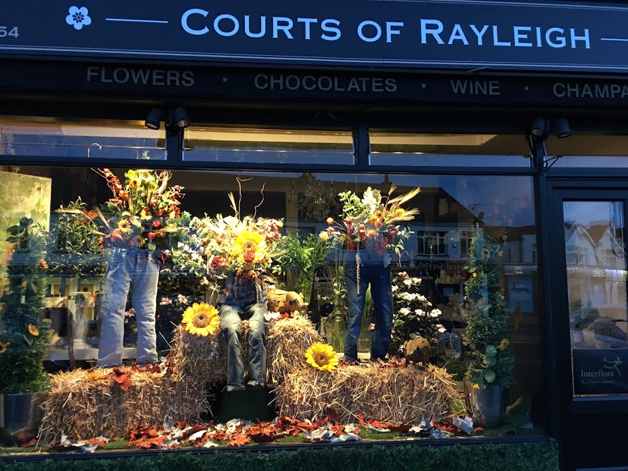 Courts of Rayleigh