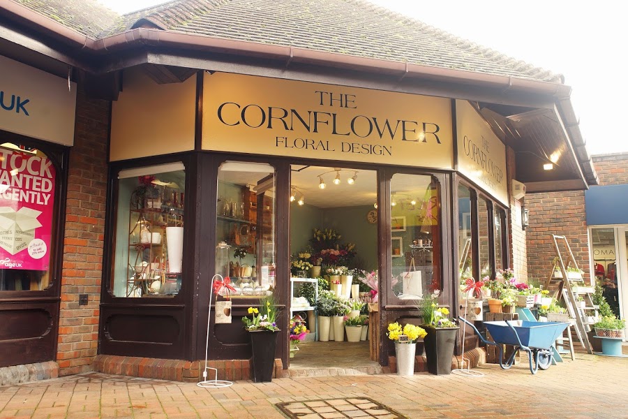 The Cornflower