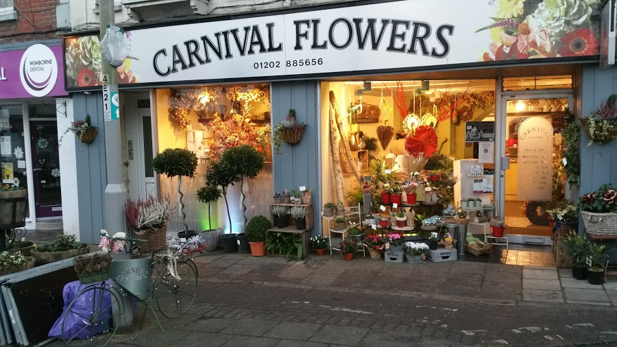 Carnival Flowers