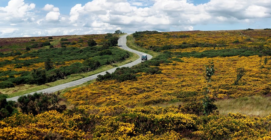 Botany Exmoor