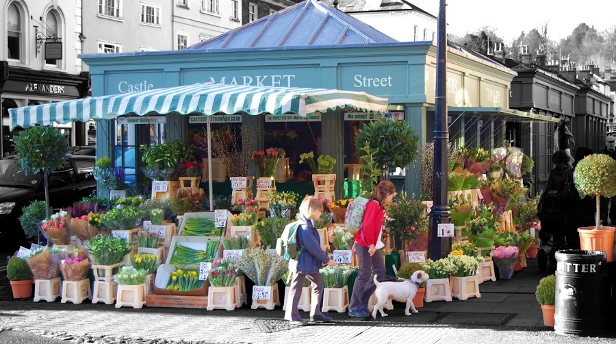 Castle Street Flowers