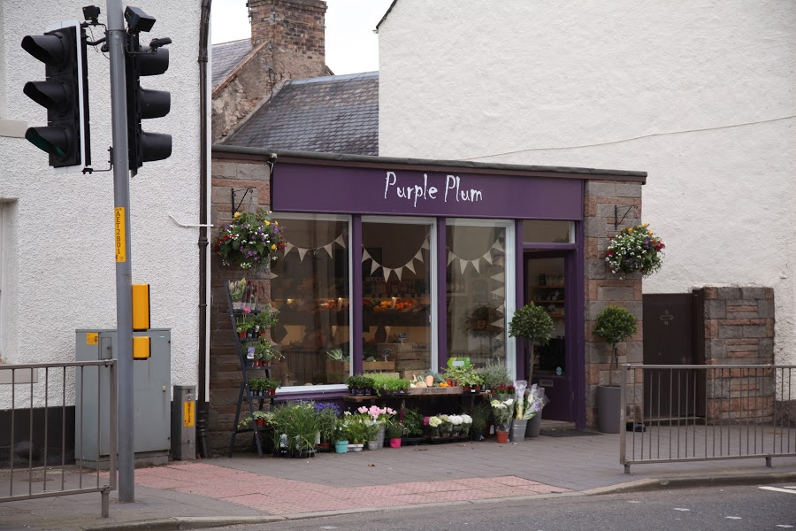 Purple Plum