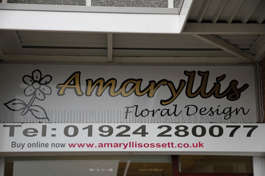 Amaryllis Floral Design