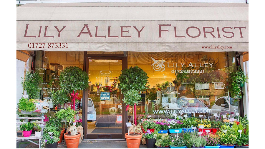 Lily Alley Florist