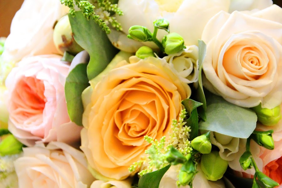 expressions florist expressions florist