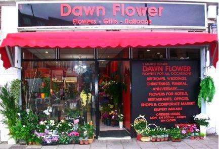 Dawn Flower