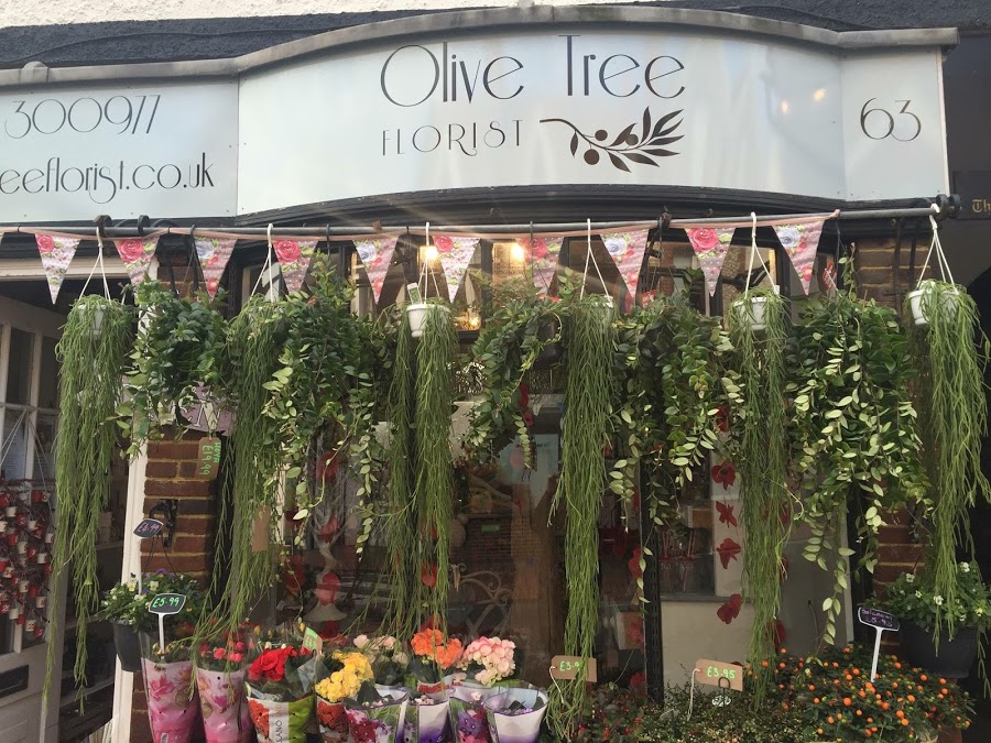 Olive Tree Florist