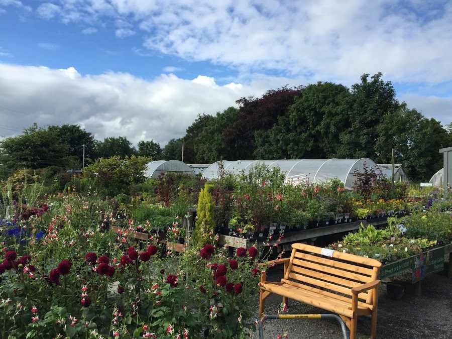 Woodlands Nurseries